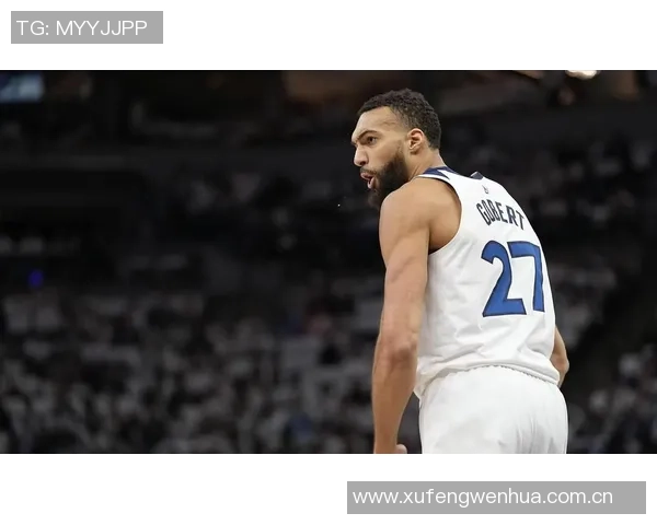 戈贝尔点评比赛表现上半场精彩却在第三节重蹈断电老路