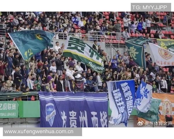 贵州筑城主场因观众投掷水杯被中足联罚款1万元引发热议