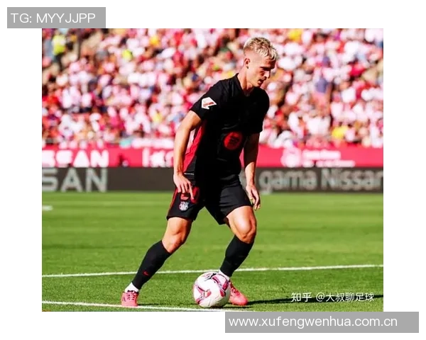 德天空报道弗莱肯右膝内侧韧带撕裂或缺席两个月影响球队表现